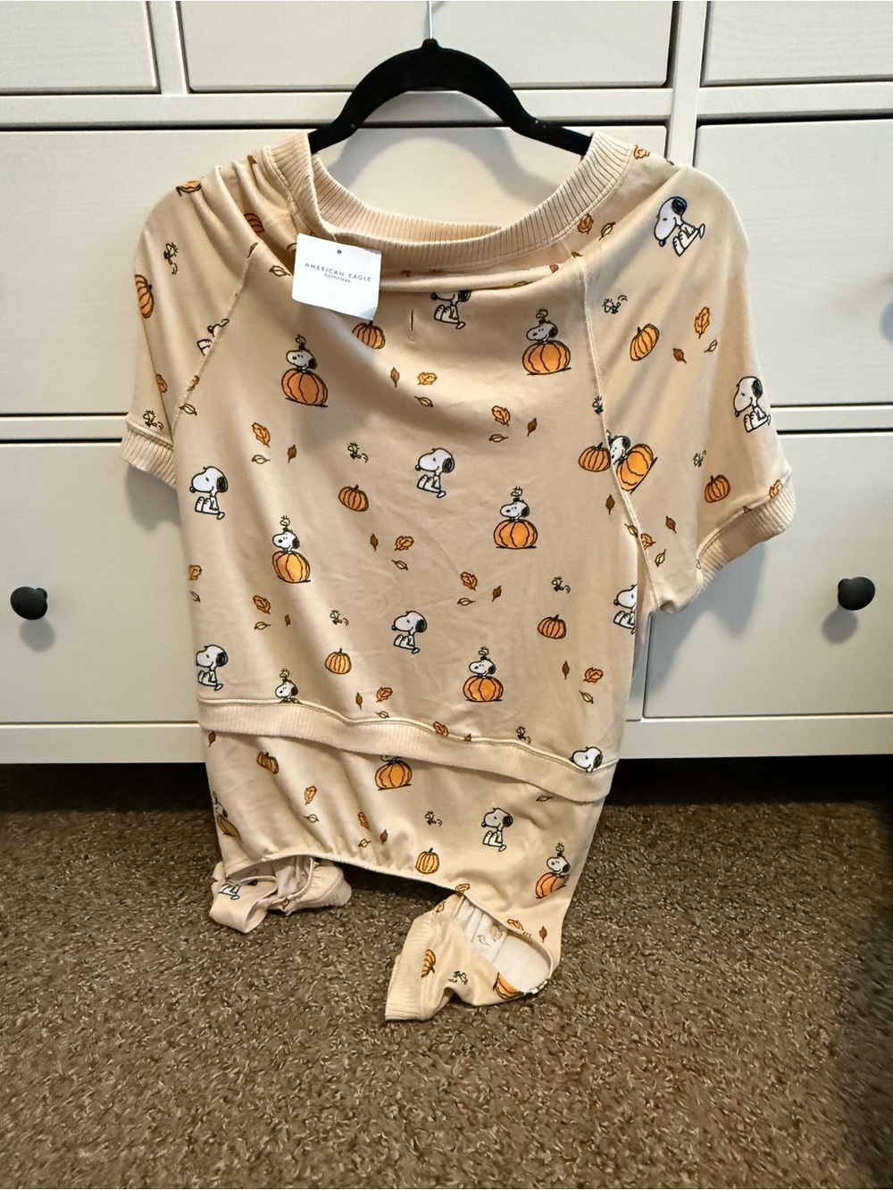Snoopy Pumpkin Print Dog Sweater - American “Beagle”